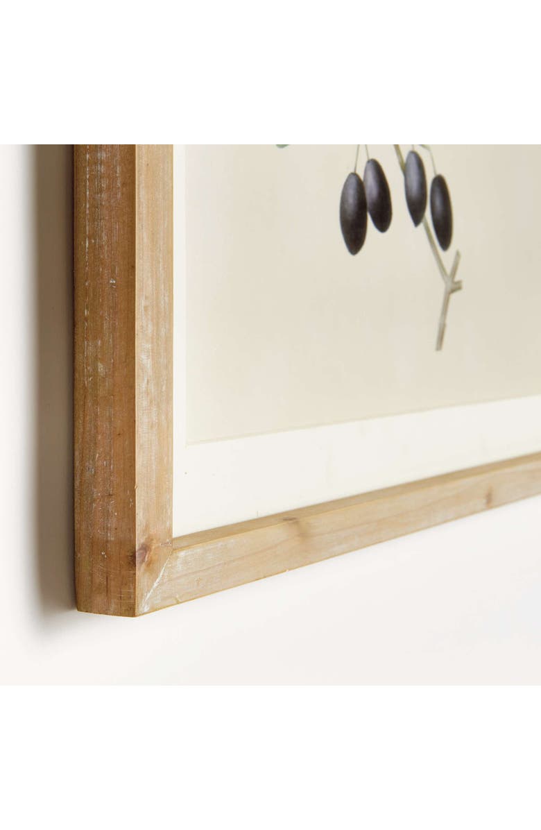 Napa Home & Garden Olive Stems Study Set Of 4, Alternate, color, 