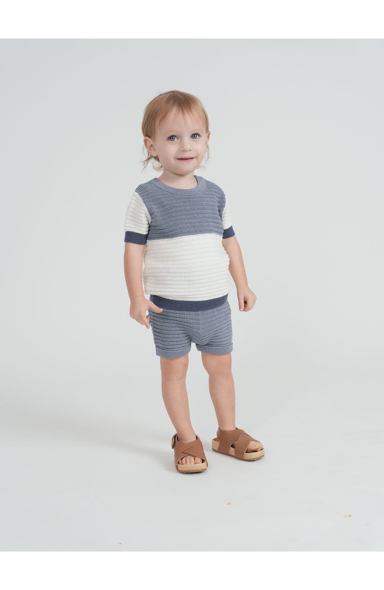 Clô Mutli Textured Contrast Knit Shorts Set, Alternate, color, Blue Grey