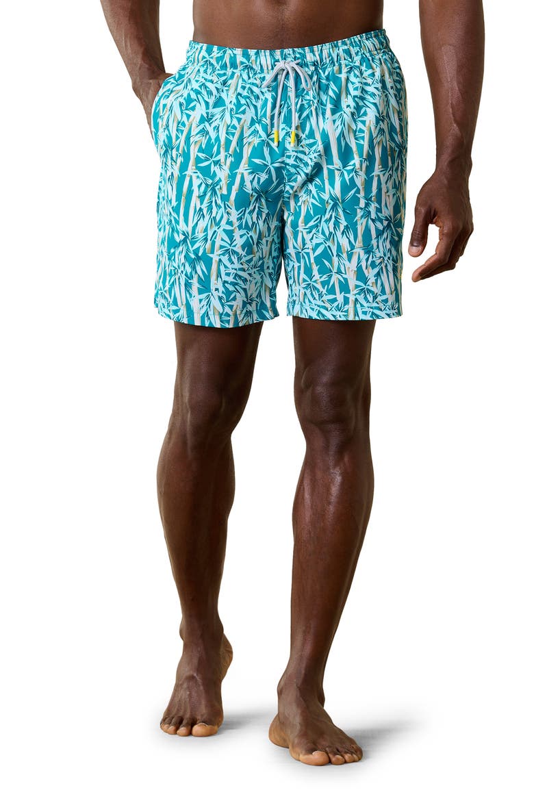 Naples Blues Swim Trunks, Main, color, TROPICAL TURQUOISE