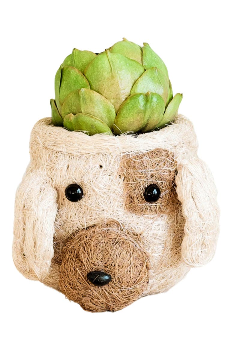 Mini Dog Succulent Planter, Alternate, color, WHITE / BROWN