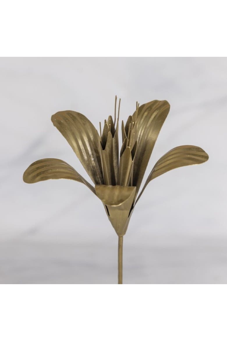 Botanical Stem Lily, Alternate, color, Lily