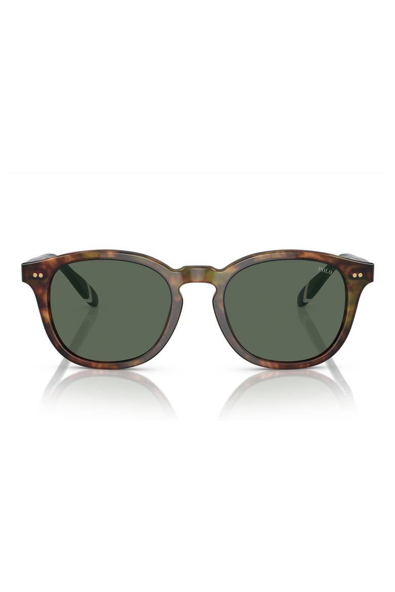 52mm Phantos Sunglasses, Main, color, SHINY BROWN TORTOISE / GREEN