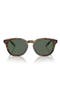  Shiny Brown Tortoise / Green