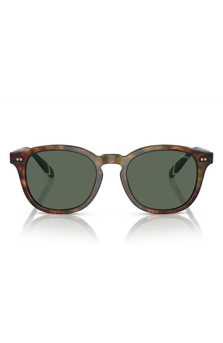 Polo Ralph Lauren 52mm Phantos Sunglasses, Main, color, Shiny Brown Tortoise / Green