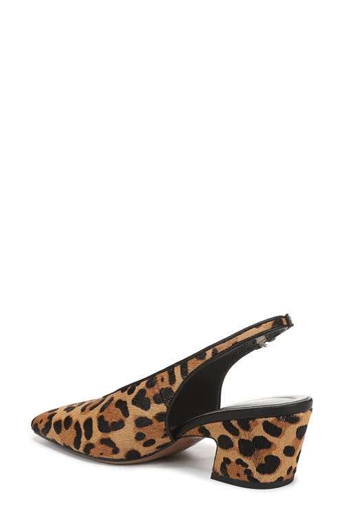 Sarto By Franco Sarto Sutton Slingback Pump In Animal Print