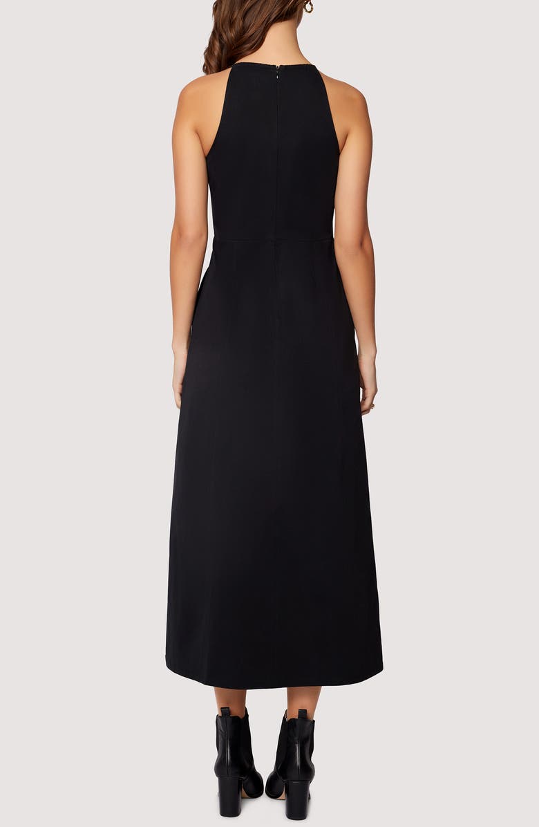 Lost + Wander Giardino Cotton Midi Dress, Alternate, color, 