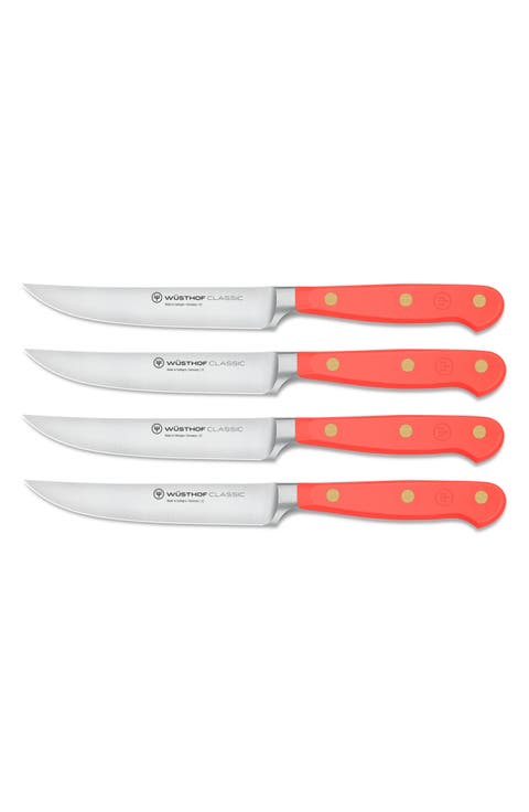 Classic 4-Piece Steak Knife Set