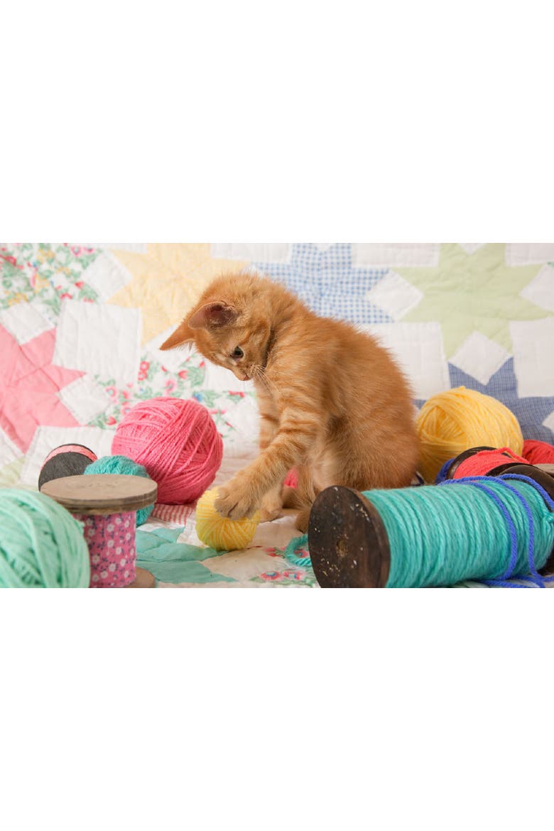 Kitty Plays Ball 300 piece Jigsaw Puzzle for Adults, Alternate, color, Multicolor