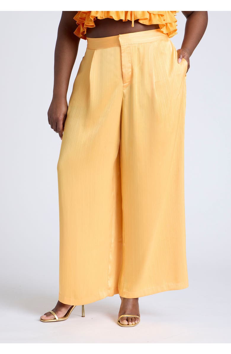 ELOQUII Wide Leg Pant With Pleat, Alternate, color, Dried Apricot