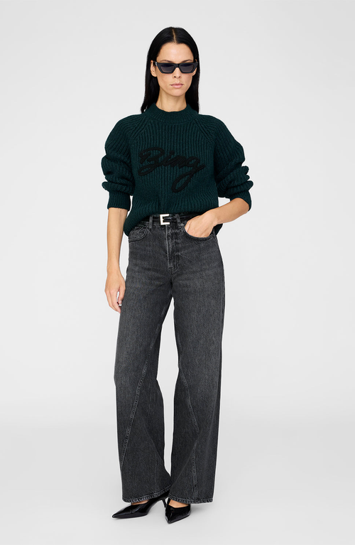 Anine Bing Kendrick Sweater In Green