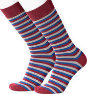 Beau Ties of Vermont Vineyard River Men's Socks