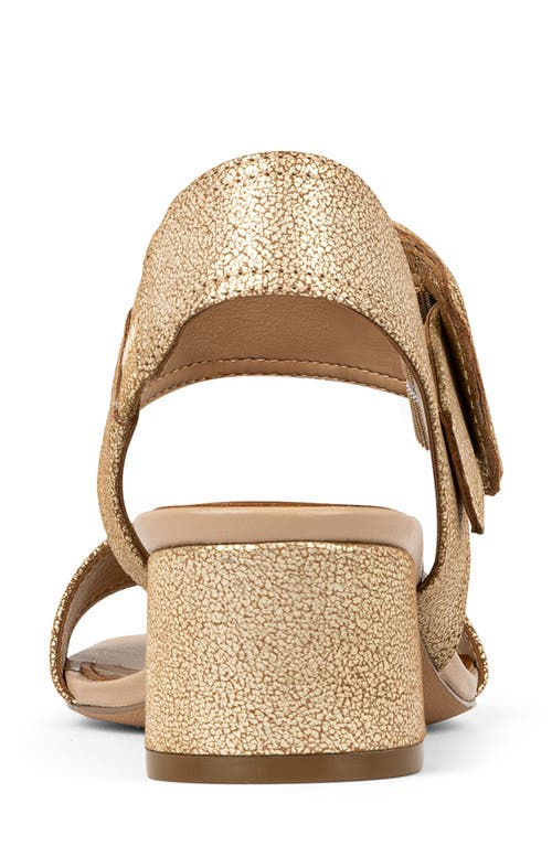 DONALD PLINER DONALD PLINER ANKLE STRAP SANDAL