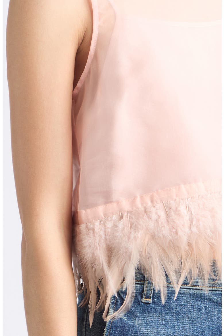 Avi Sleeveless Feather Trim Silk Top, Alternate, color, SANDROSE