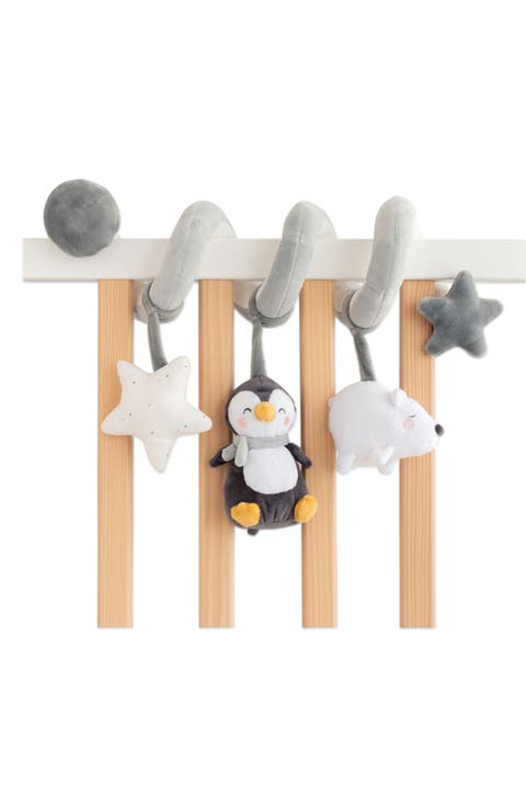 Multi-Activity Spiral Rattle