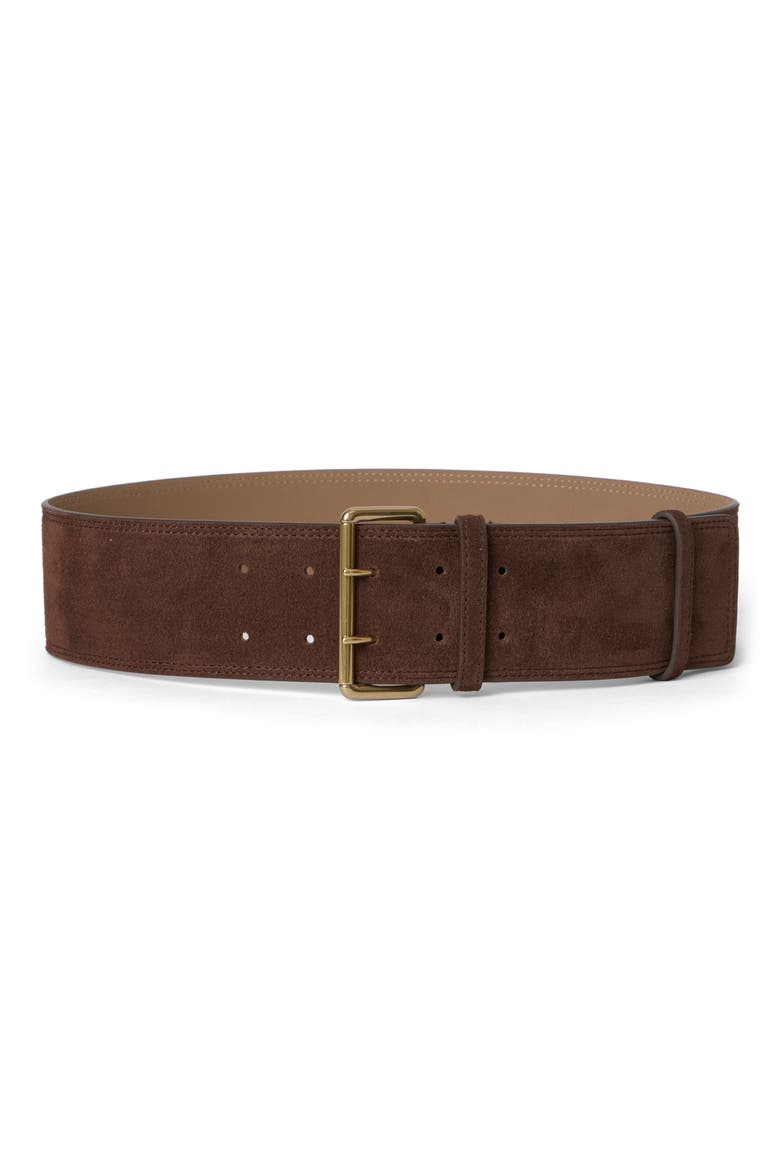 Luella Suede Belt, Main, color, CHOCOLATE BRASS