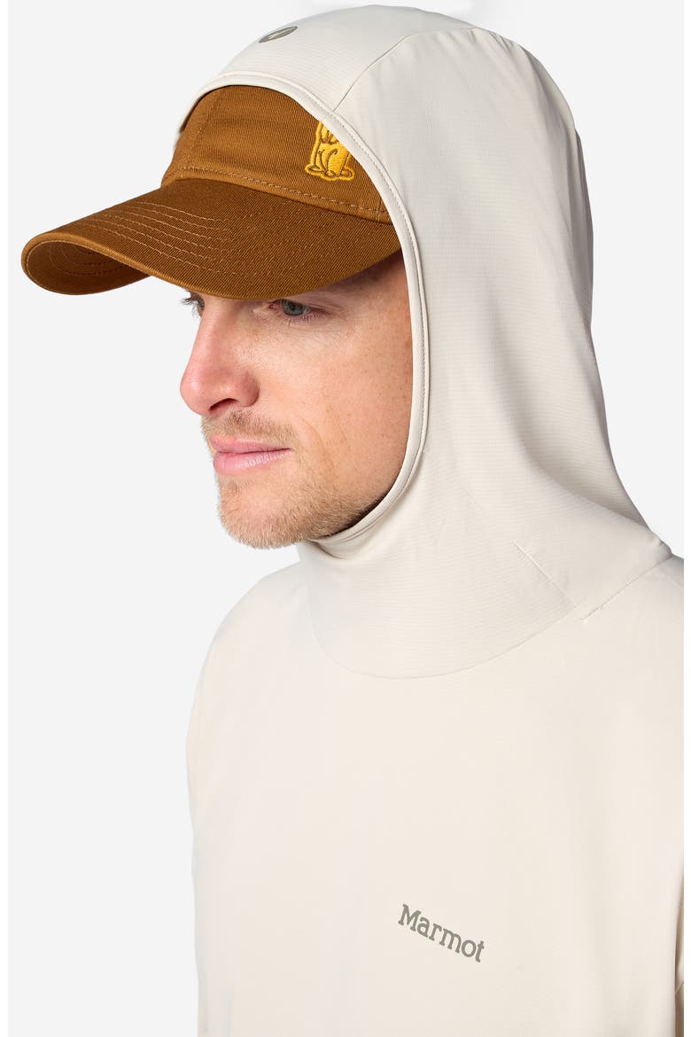 AirExchange SolarShield UPF Hoodie, Alternate, color, BIRCH BARK