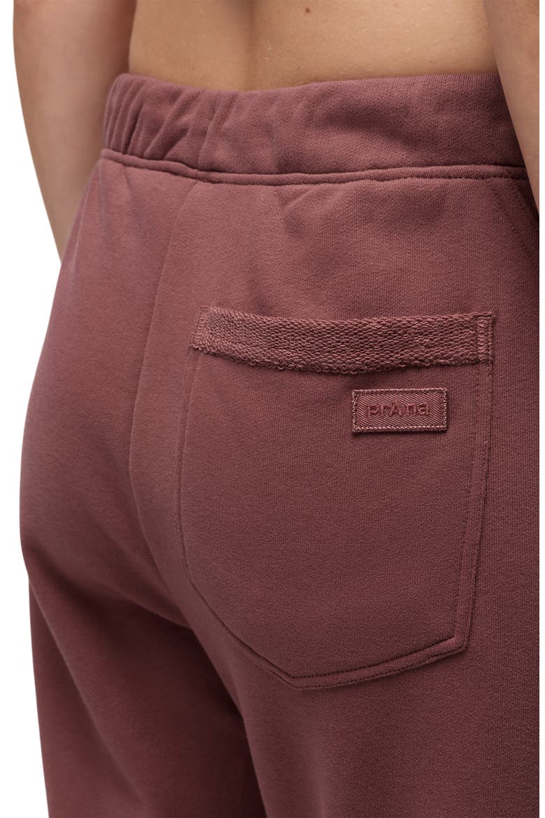Dreamterry Sweatpants, Alternate, color, NEWBERRY