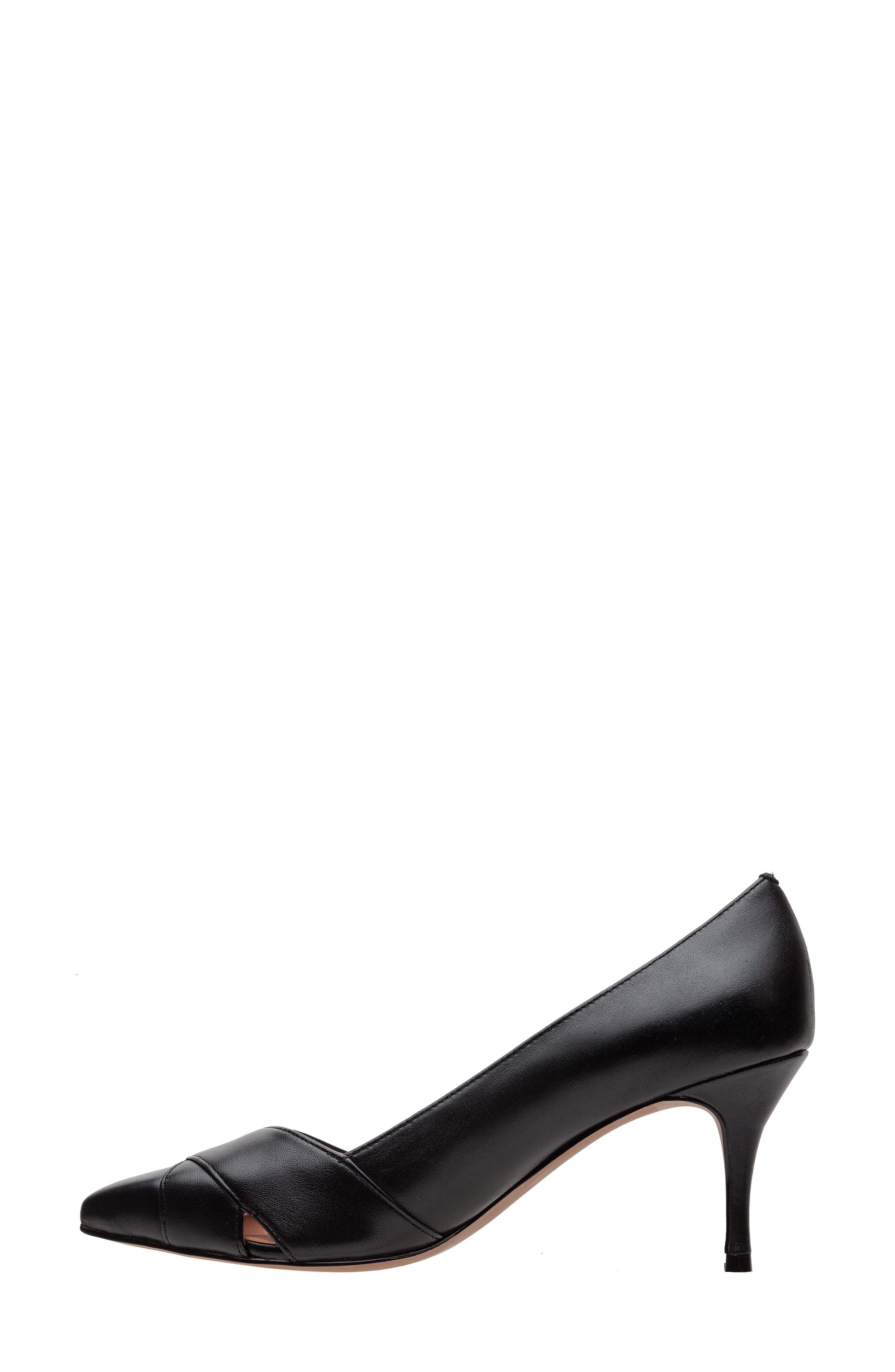 Linea Paolo Palos Pointed Toe Pump, Alternate, color, Black