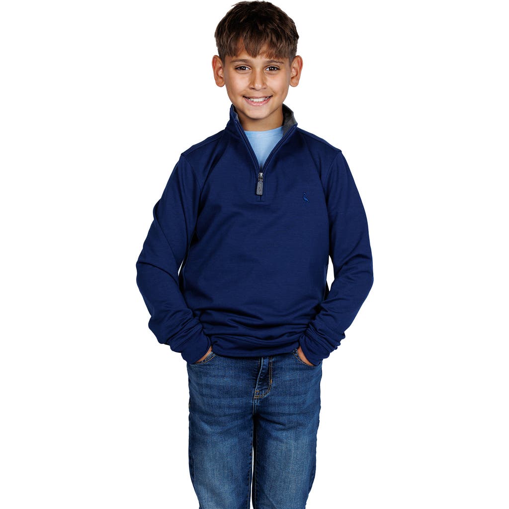 Tailorbyrd Kids' Fleece Quarter-zip Pullover In Blue