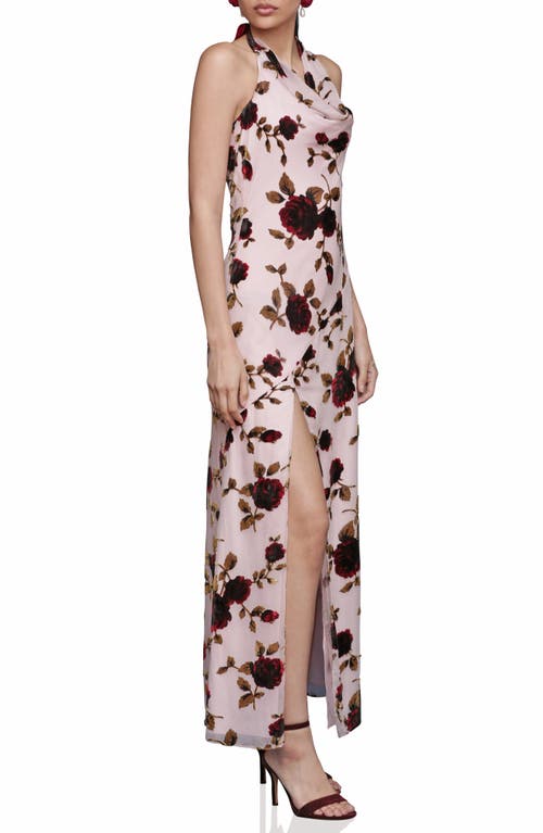 Avec Les Filles Floral Devoré Halter Maxi Cocktail Dress In Pink