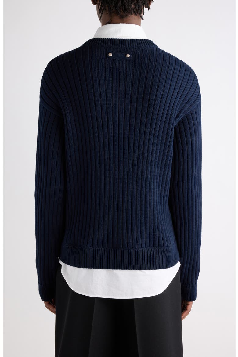 Mixed Media Prelayered Cotton Rib Sweater, Alternate, color, 4170 NAVY/ WHITE