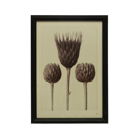 Wood Framed Artichoke Print with Glass Cover