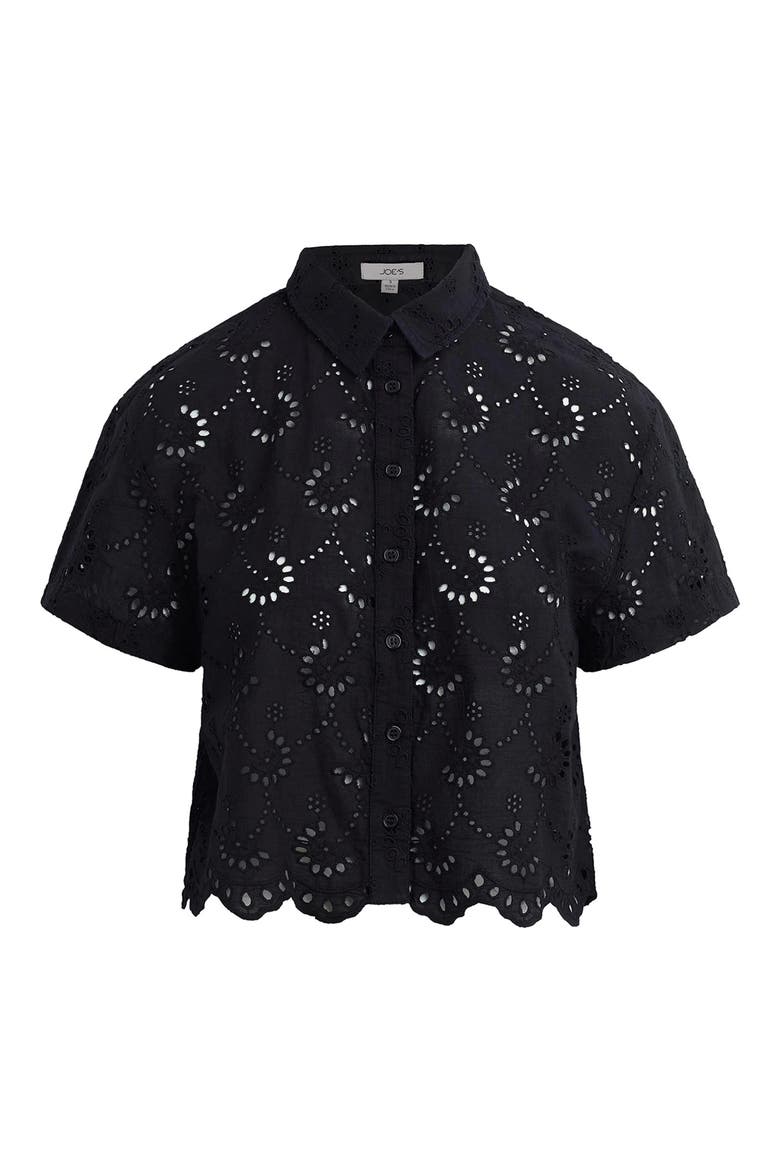 Sheer Crop Cotton Broderie Anglaise Button-Up Shirt, Alternate, color, BLACK