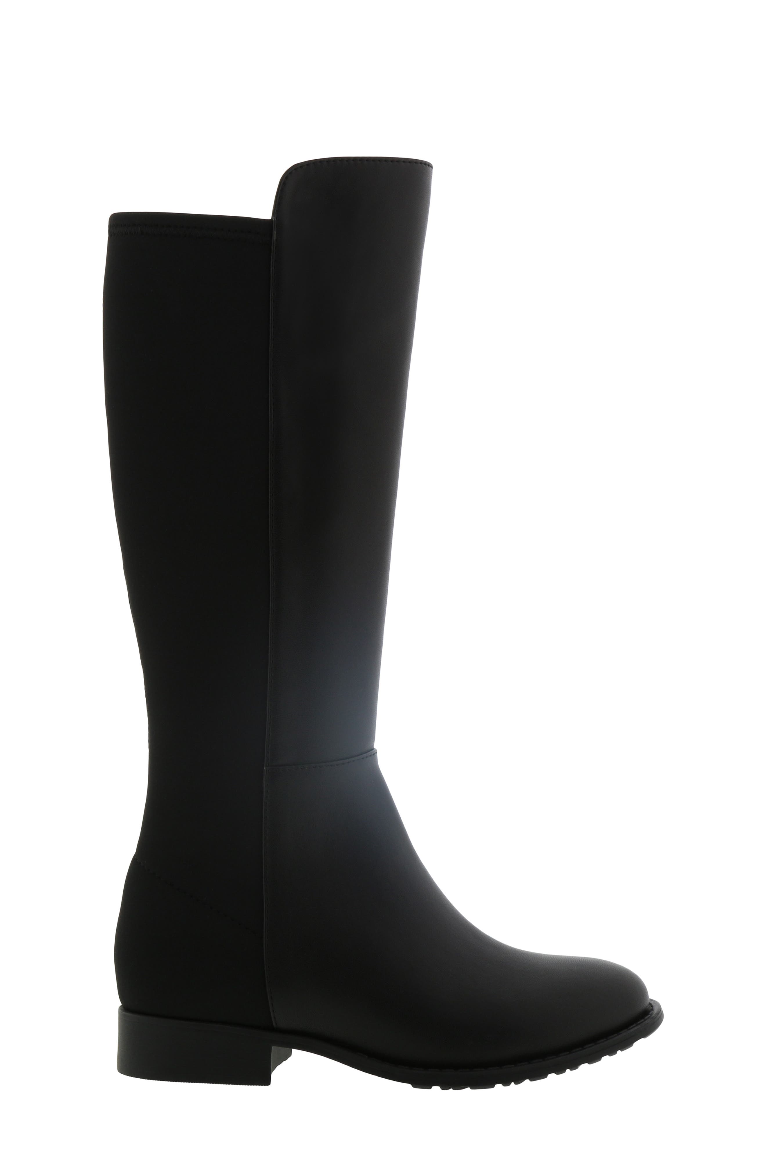 Stuart Weitzman 5050 Tall Riding Boot, Alternate, color, 