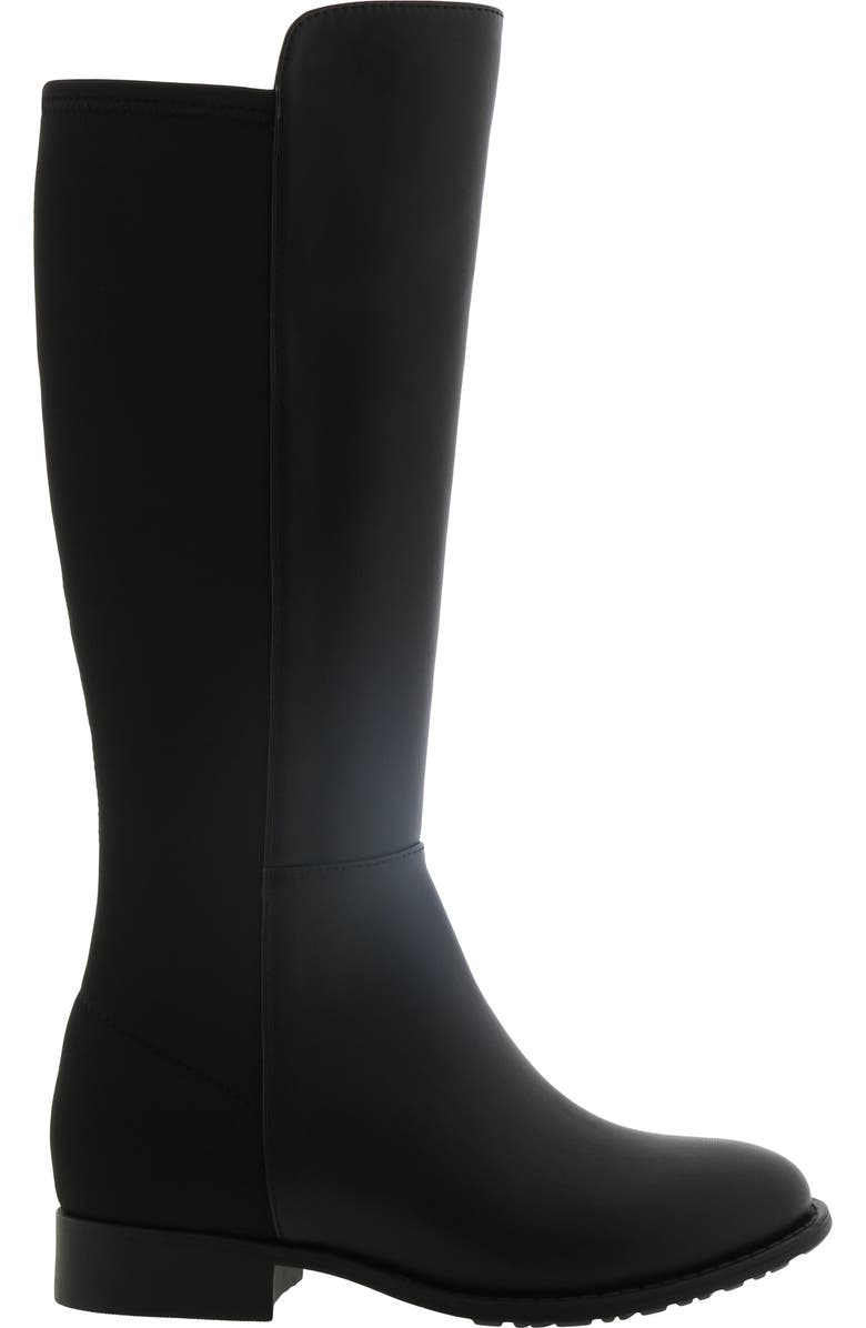 Stuart Weitzman 5050 Tall Riding Boot, Alternate, color,