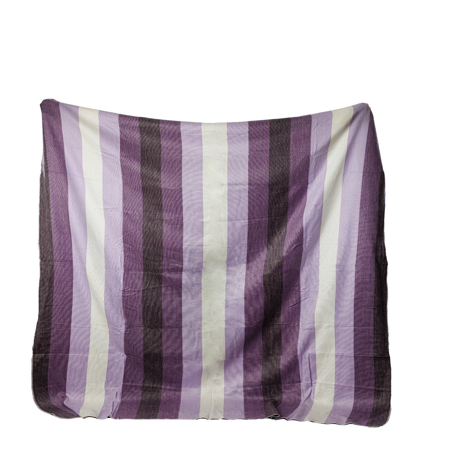 Purple / Cream
