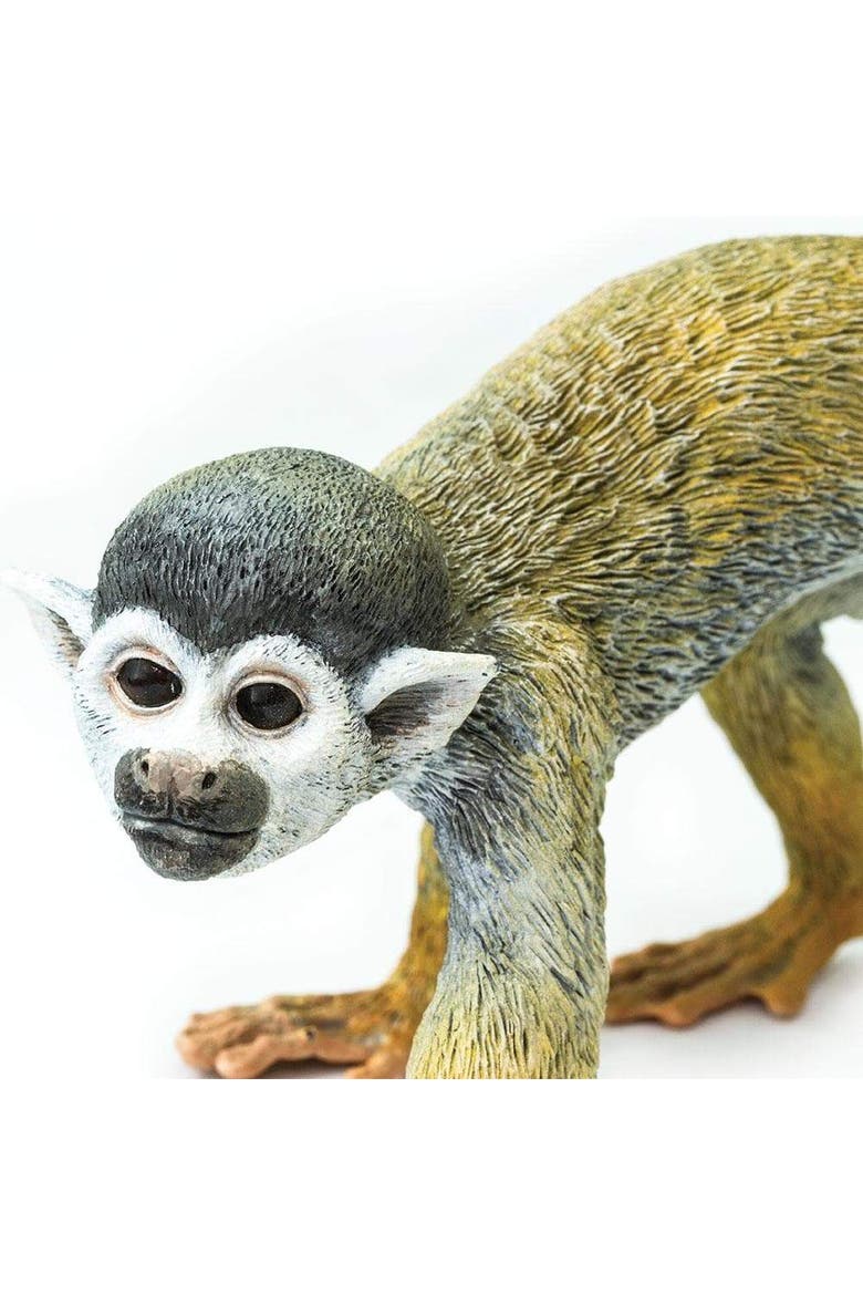 Squirrel Monkey Toy, Alternate, color, No Color