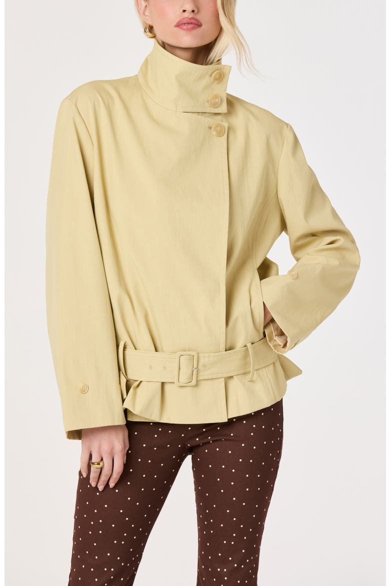 Theo Belted Jacket, Alternate, color, TAN
