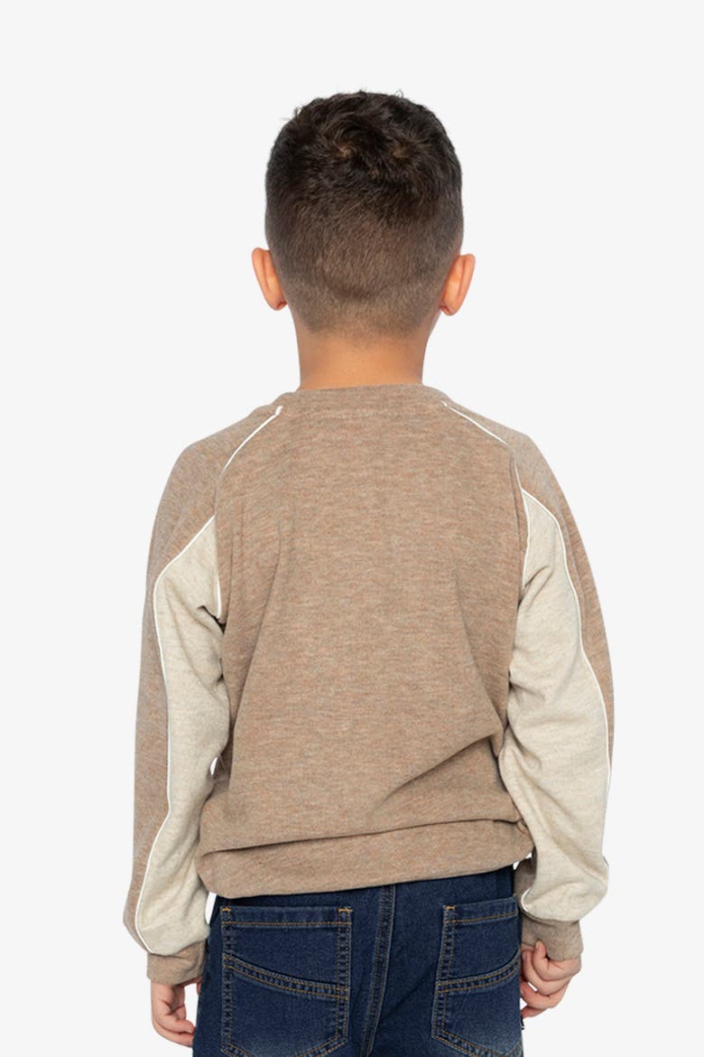 Brushed Jersey Raglan Sleeve Crew Neck Top, Alternate, color, Taupe