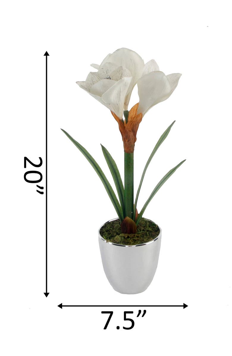 FLORA BUNDA Ivory 20" Tall Amaryllis in Silver Plated Pot, Alternate, color,