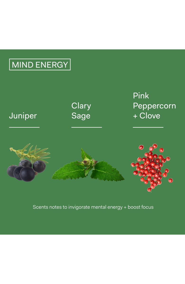 The Nue Co Mind Energy Fragrance, Alternate, color,