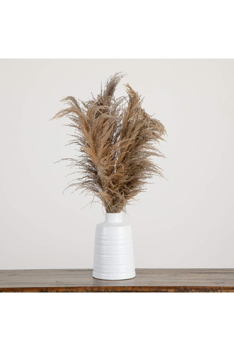 30-in Dried Natural Pampas Arrangement in Ceramic Vase, Alternate, color, Green