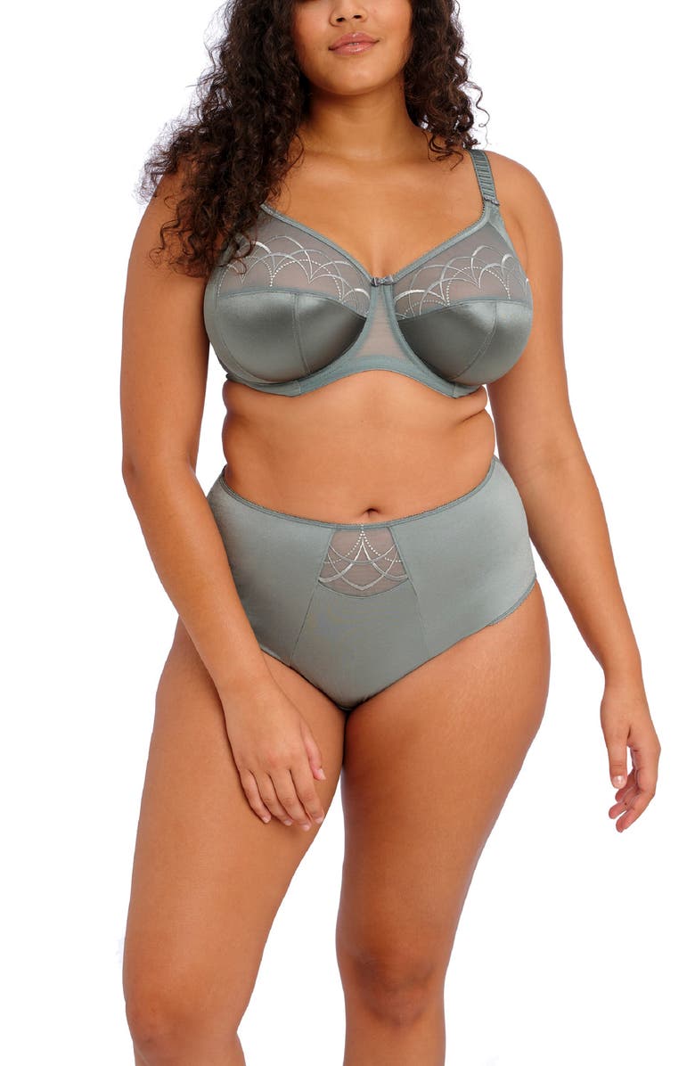 Elomi Cate Full Figure High Waist Briefs, Alternate, color,