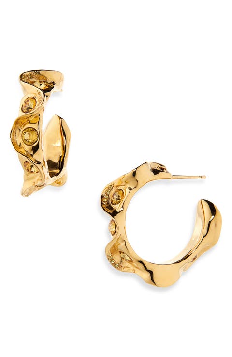 Crystal Nest Hoop Earrings