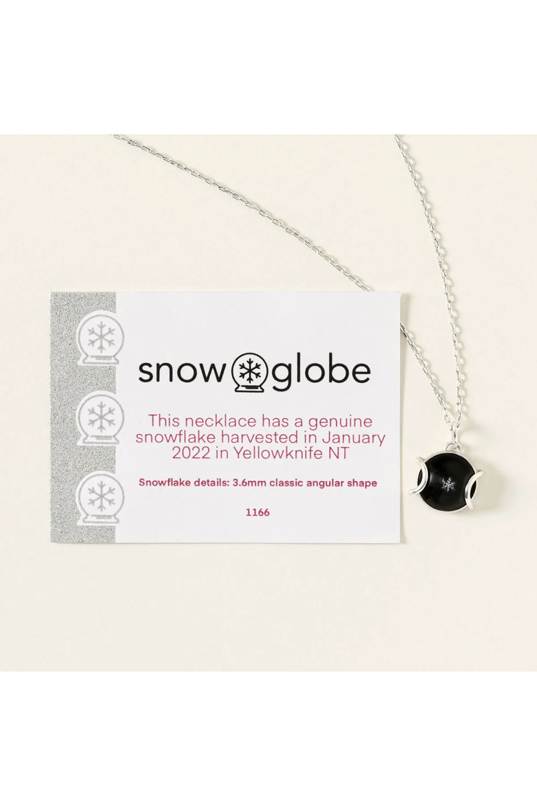 Real Snowflake Forever Necklace by Snowglobe Jewelry, Alternate, color, Silver