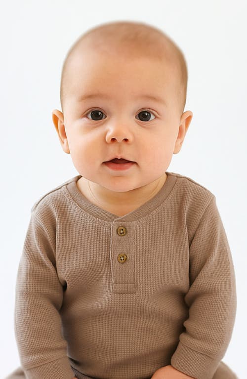 Butterblu Payton Assorted 5-pack Long Sleeve Organic Cotton Waffle Henley T-shirts In Brown