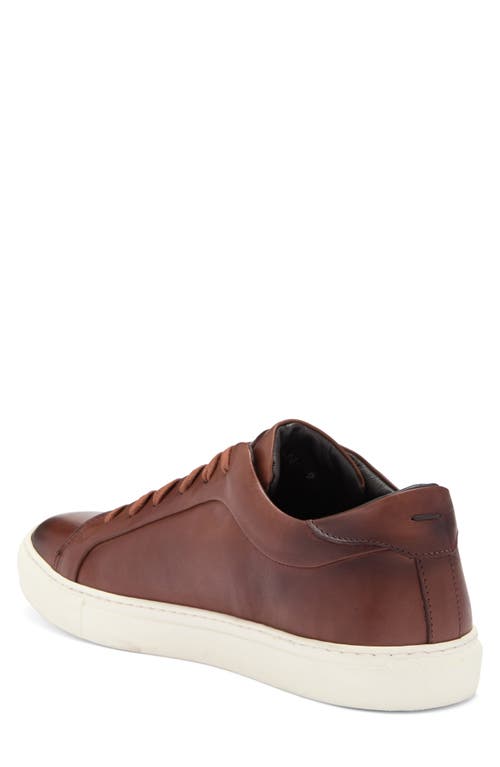To Boot New York Pullman Sneaker In Cognac