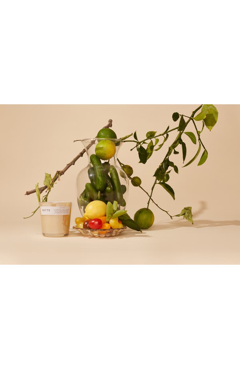 NETTE Laide Tomate Scented Candle, Alternate, color,