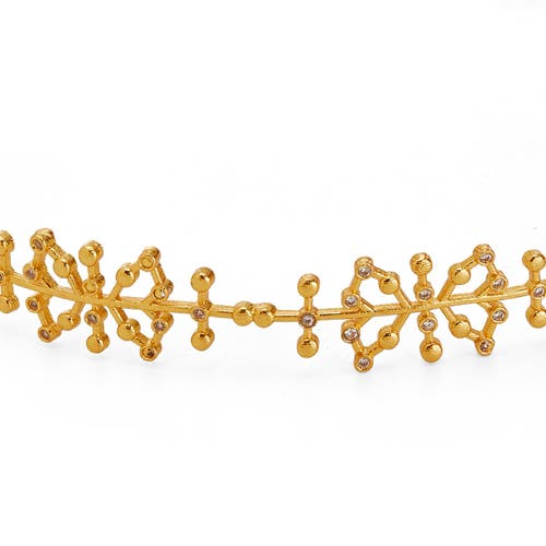 Dhwani Bhansal Auro Choker In Gold Plated