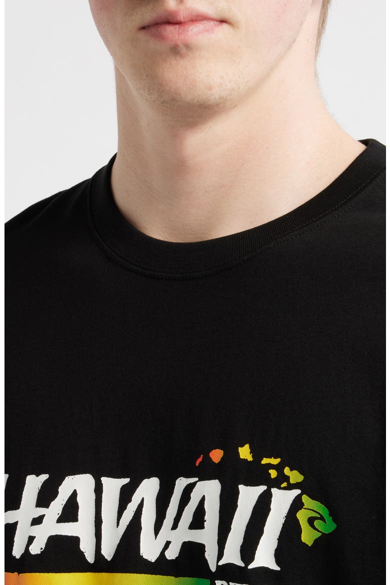 Hawaii Gritty Cotton Graphic T-Shirt, Alternate, color, BLACK