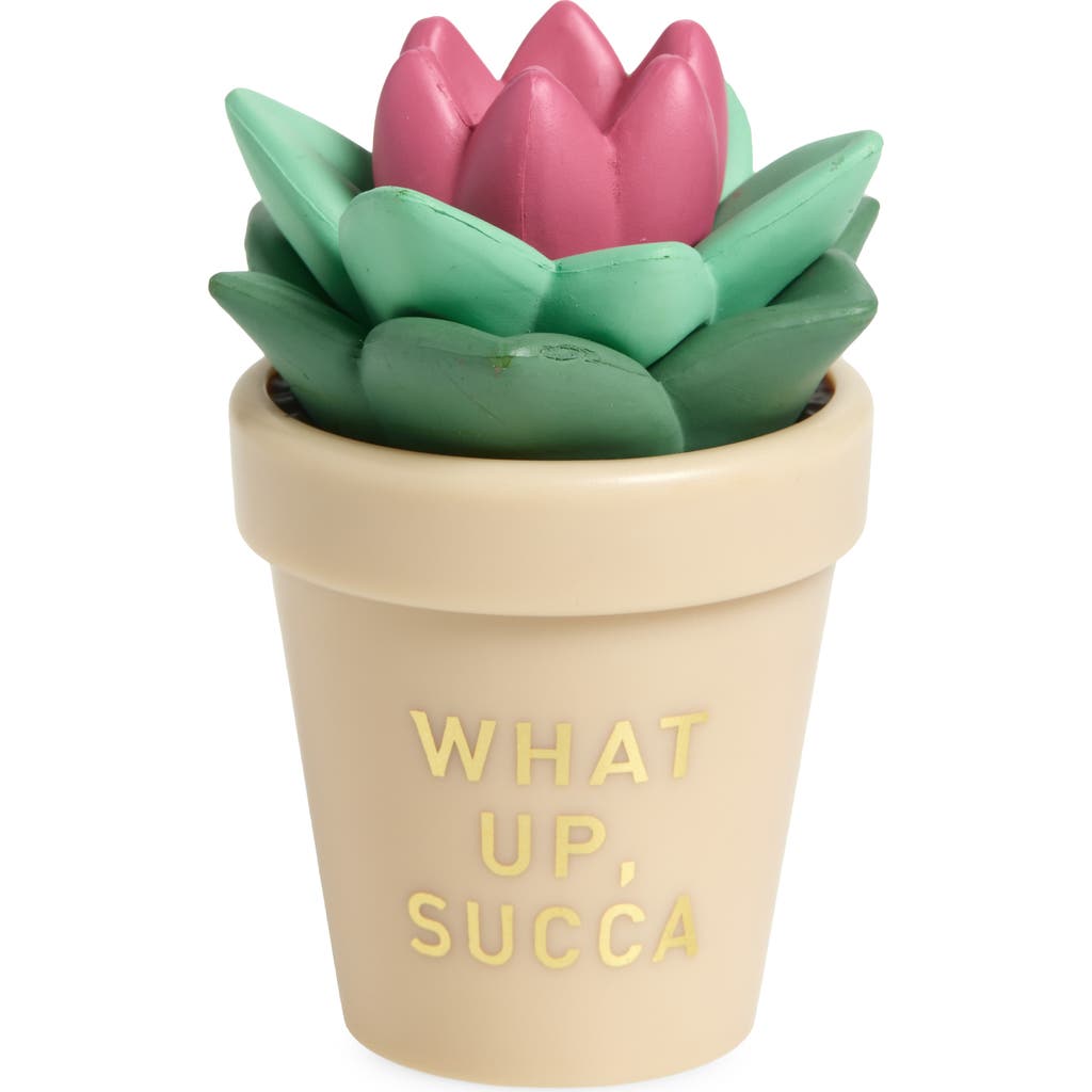 Taste Beauty Kids' What Up, Succa Succulent Lip Balm