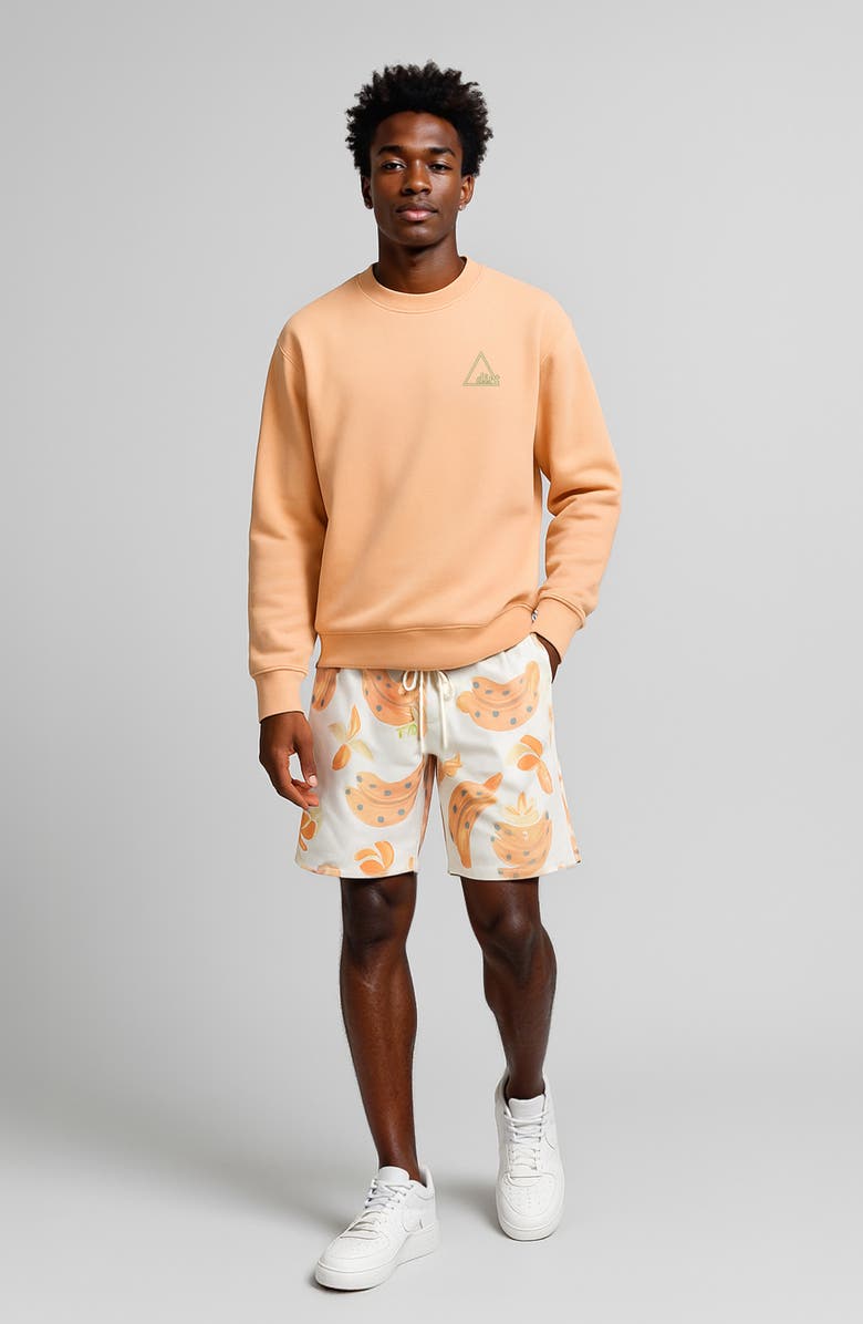 D.RT Homecourt Cotton Sweatshirt, Alternate, color, Peach