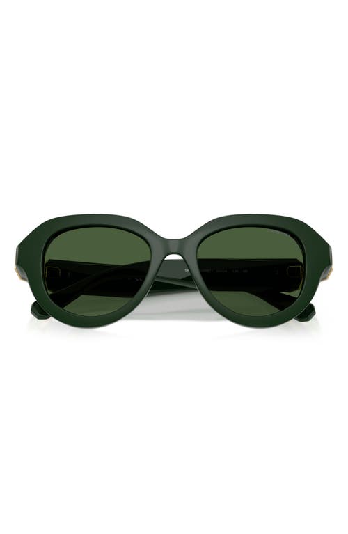 Swarovski 50mm Small Round Sunglasses In Metallic