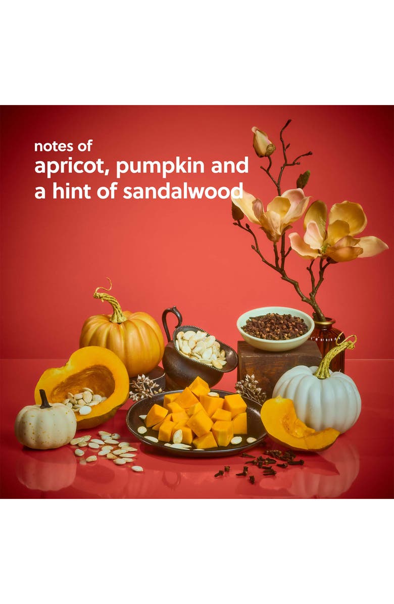 Tree Hut Sweet Punkin Shea Sugar Scrub, Alternate, color, 