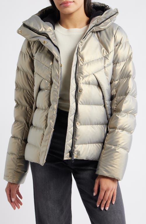 Helly Hansen Winter Bliss 600 Fill Power Down Jacket In Gray