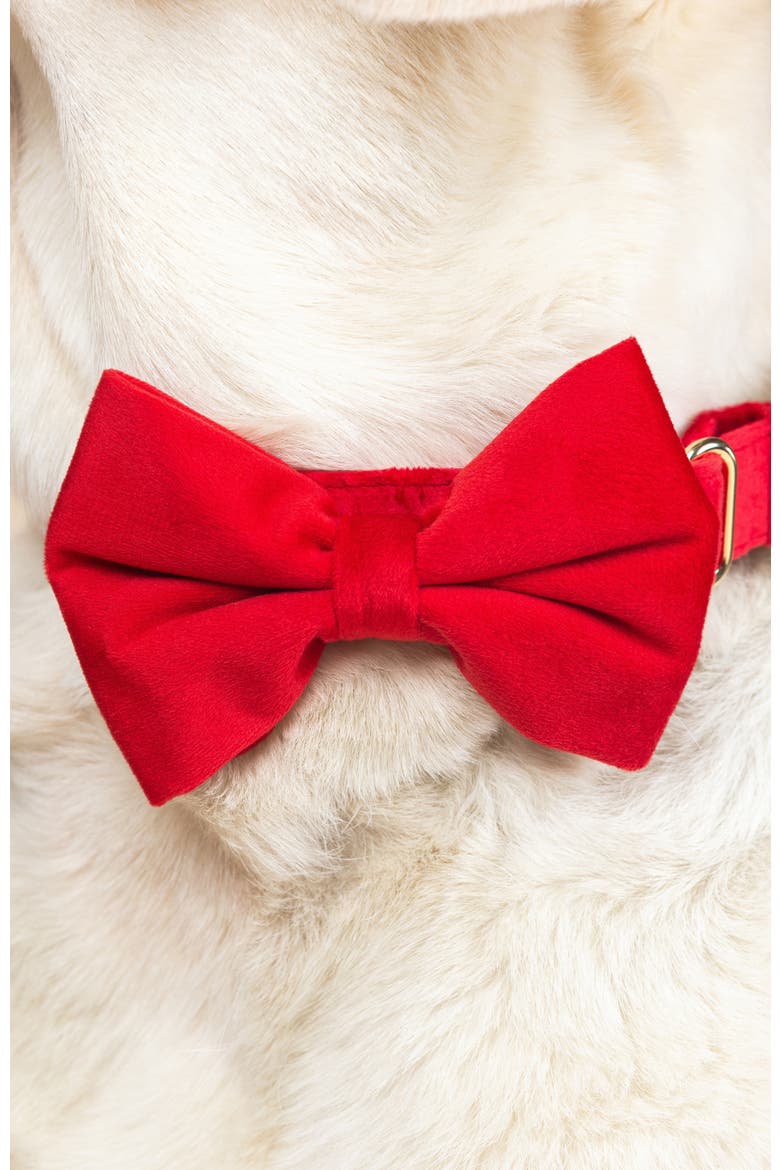 Blaze Bow Tie, Alternate, color, Blaze